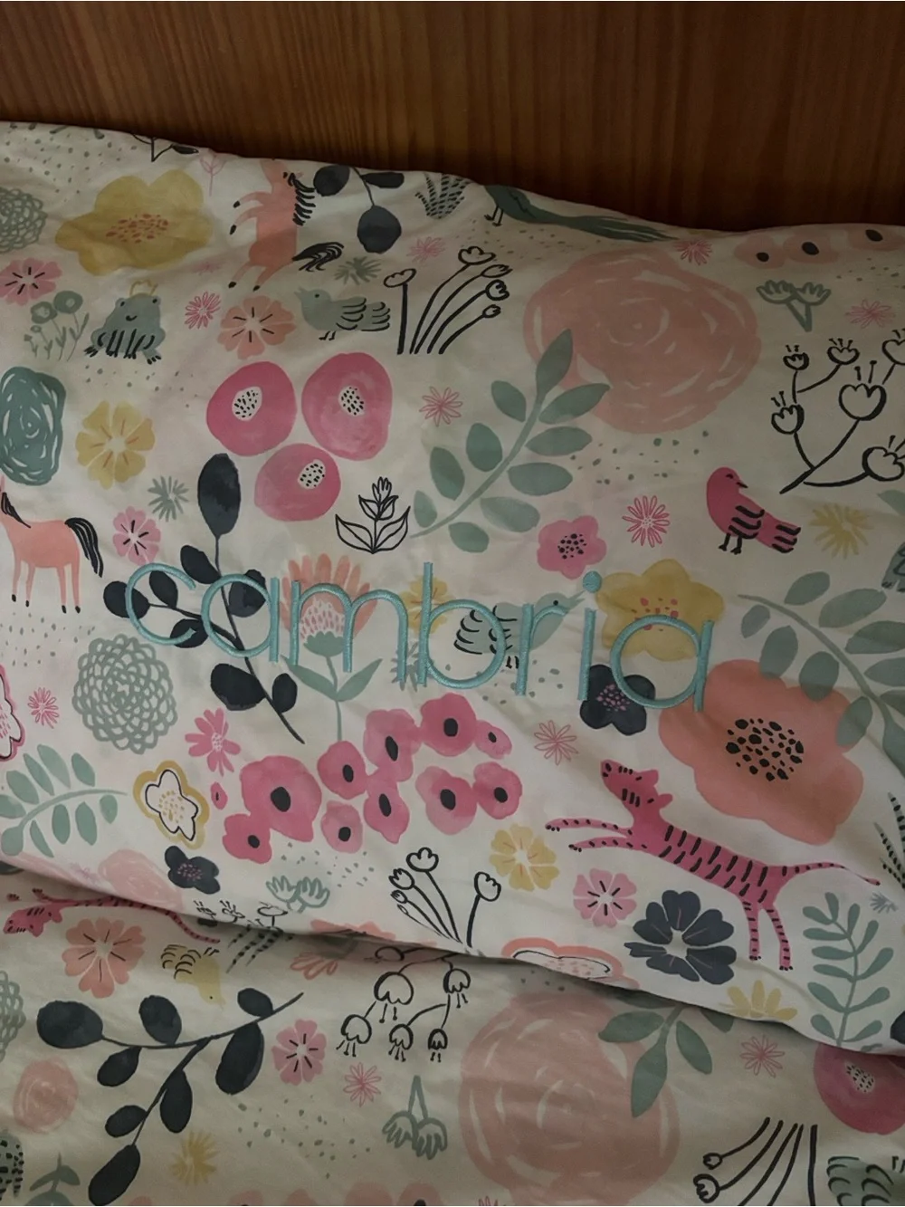 Pottery Barn Sasha’s Garden Organic Cotton Duvet Cover & 2 Shams Full/Queen